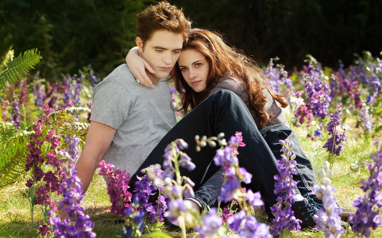The Twilight Saga: Breaking Dawn 暮光之城4：破曉高清壁紙 #4 - 1280x800