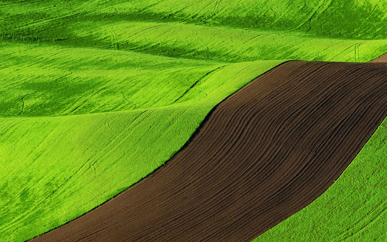 Windows 8 RTM verze oficiálních tapet HD #7 - 1280x800
