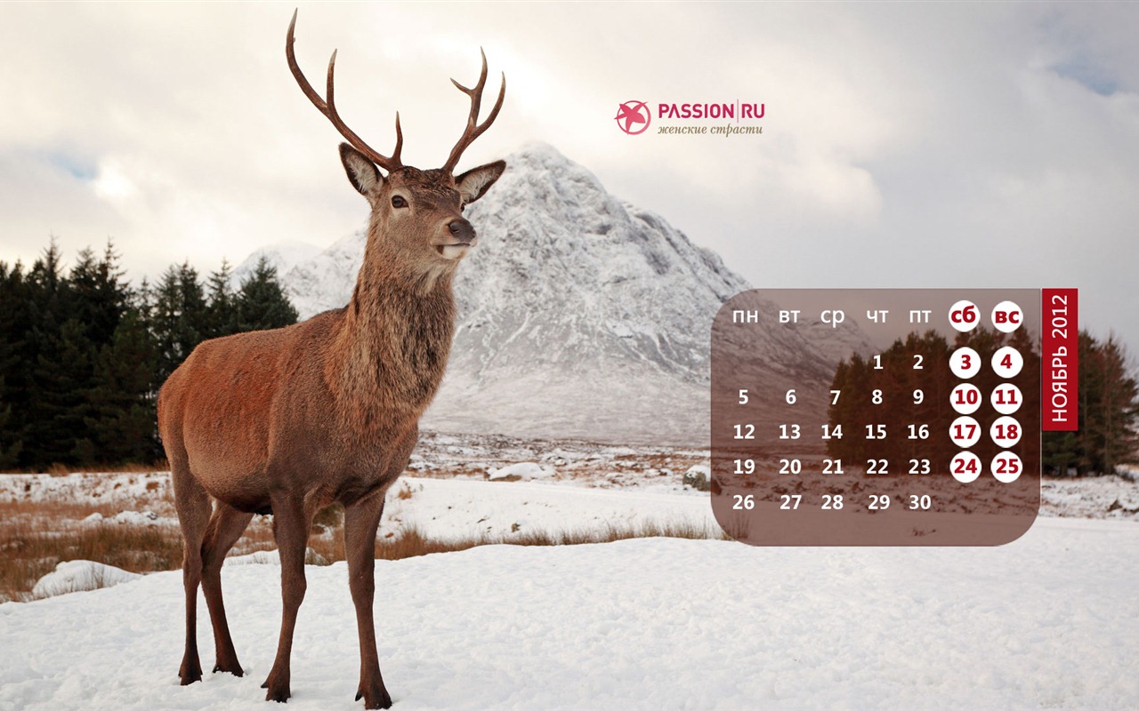 November 2012 Kalender Wallpaper (2) #17 - 1280x800