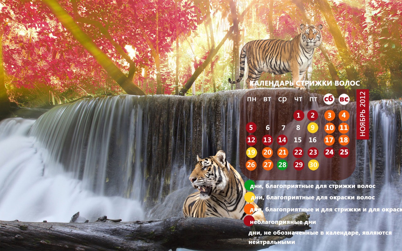 November 2012 Kalender Wallpaper (2) #18 - 1280x800