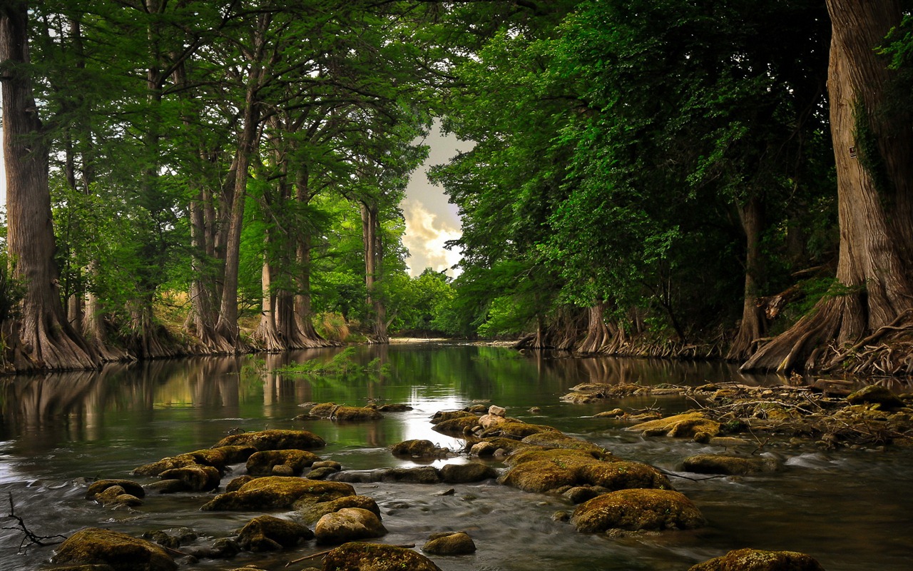 Impresionantes fondos de pantalla HD naturaleza #10 - 1280x800