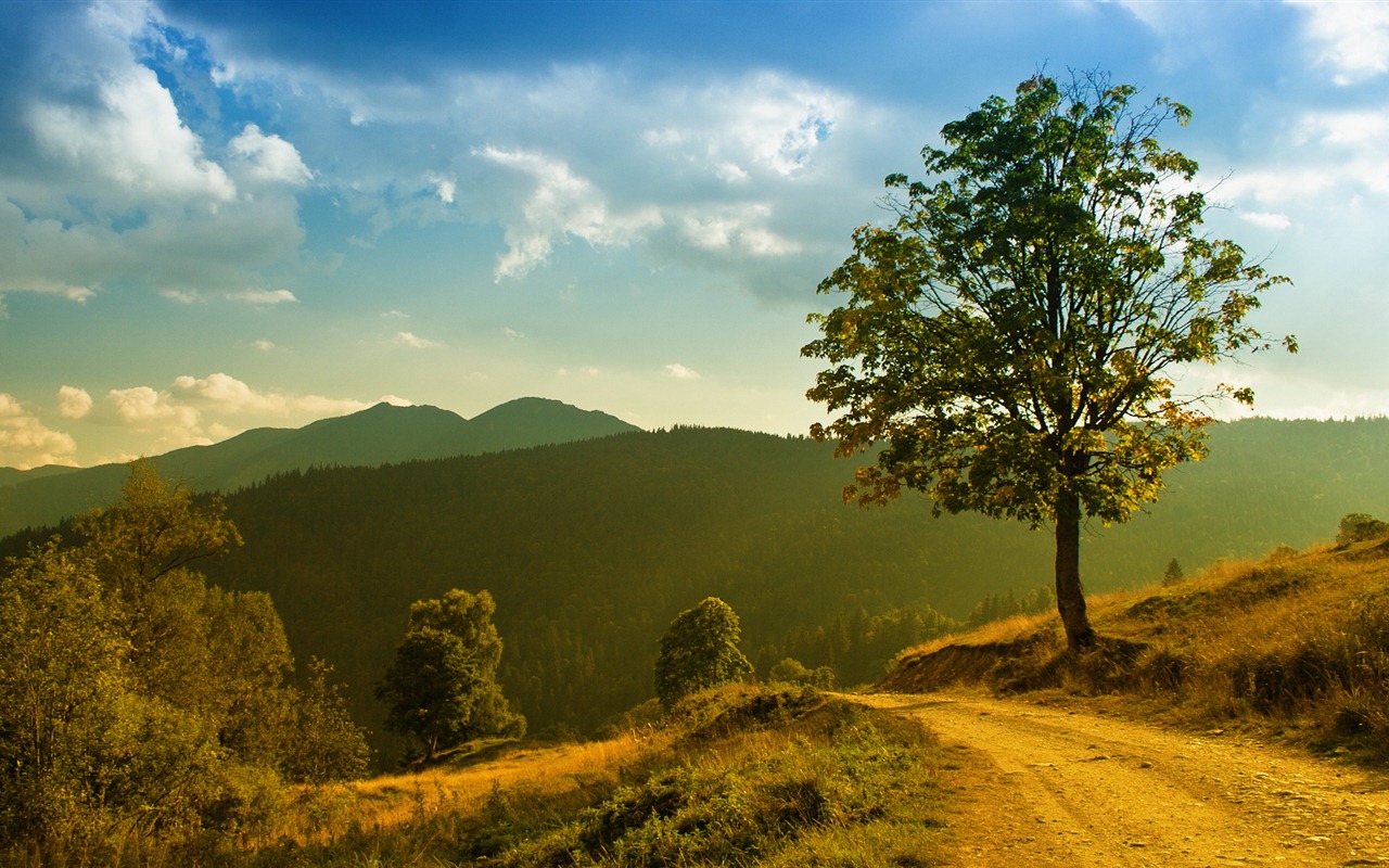 Seen, Meer, Bäume, Wälder, Berge, schöne Landschaft Tapeten #6 - 1280x800