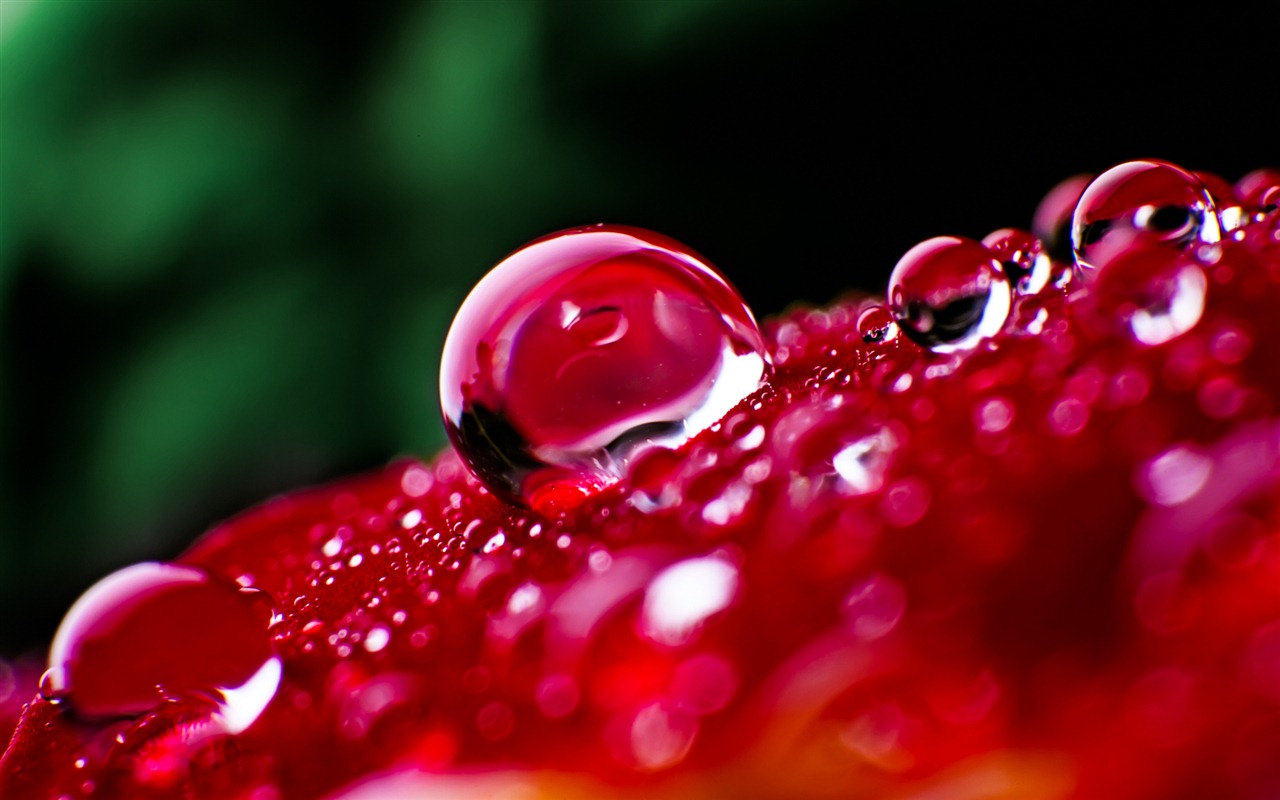 Windows 7 壁紙：水珠 #1 - 1280x800