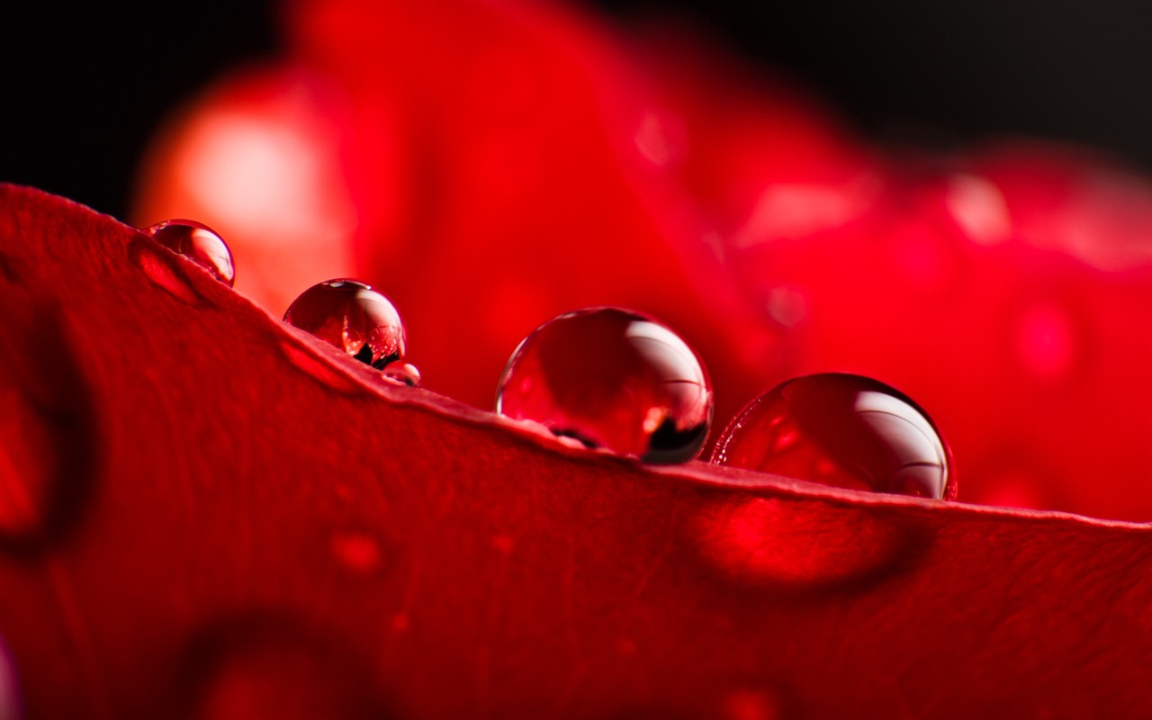Windows 7 壁紙：水珠 #2 - 1280x800