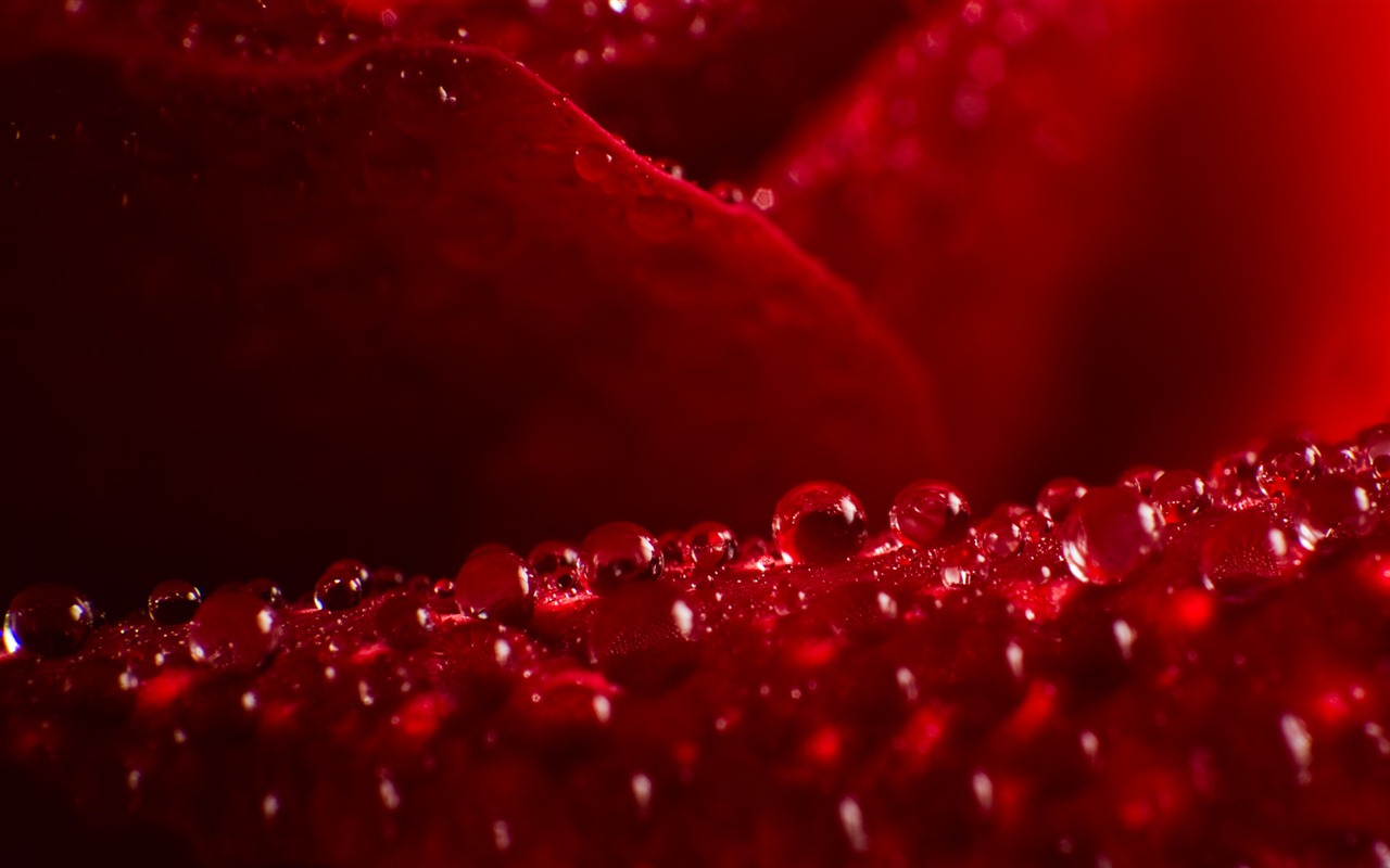 Windows 7 Wallpapers: Water drops #3 - 1280x800