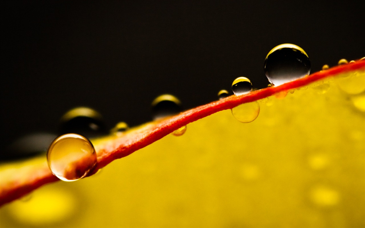 Windows 7 壁紙：水珠 #9 - 1280x800