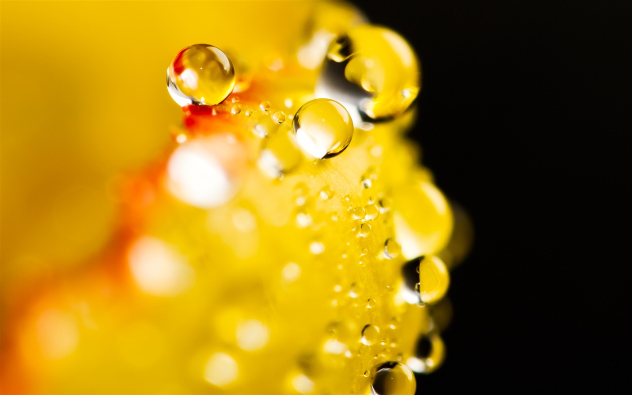 Windows 7 壁紙：水珠 #10 - 1280x800