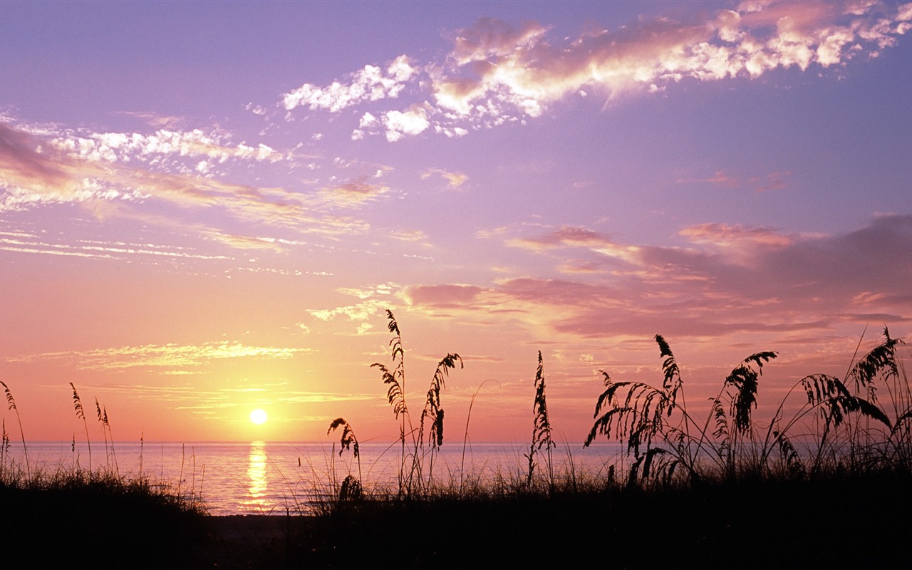 Windows 8の公式壁紙パノラマ、都市の景観、橋、ホライゾン #21 - 1280x800