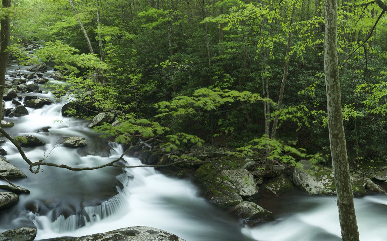 Windows 8の公式パノラマの壁紙、波、森林、雄大な山々 #8 - 1280x800