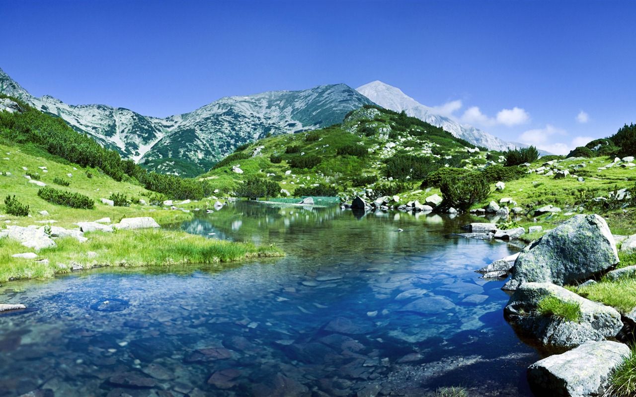 Windows 8 官方全景主題壁紙，海浪，森林，雄偉高山 #17 - 1280x800