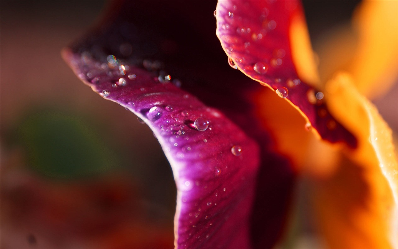 Ubuntu 烏班圖 Linux系統 2012 高清壁紙 #16 - 1280x800