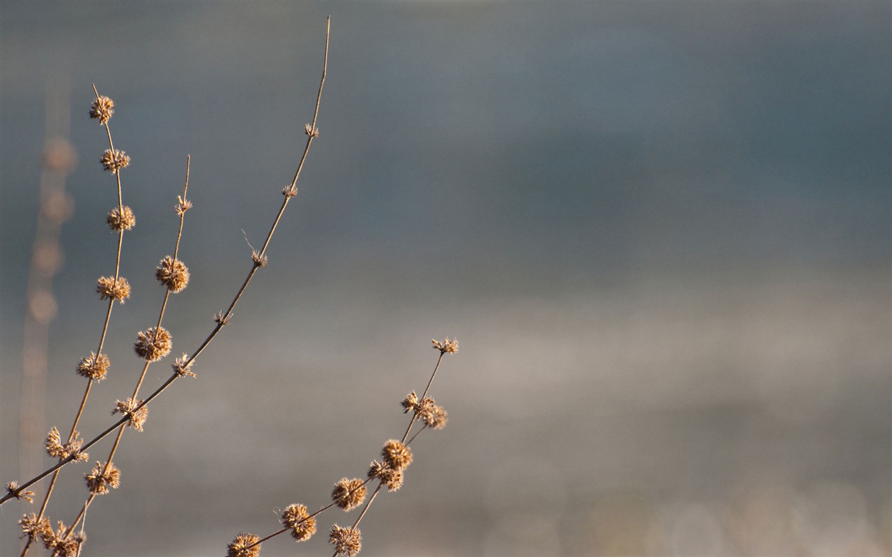 Ubuntu 烏班圖 Linux系統 2012 高清壁紙 #41 - 1280x800