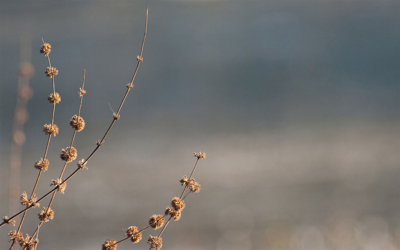 Ubuntu 烏班圖 Linux系統 2012 高清壁紙 #41 - 1280x800