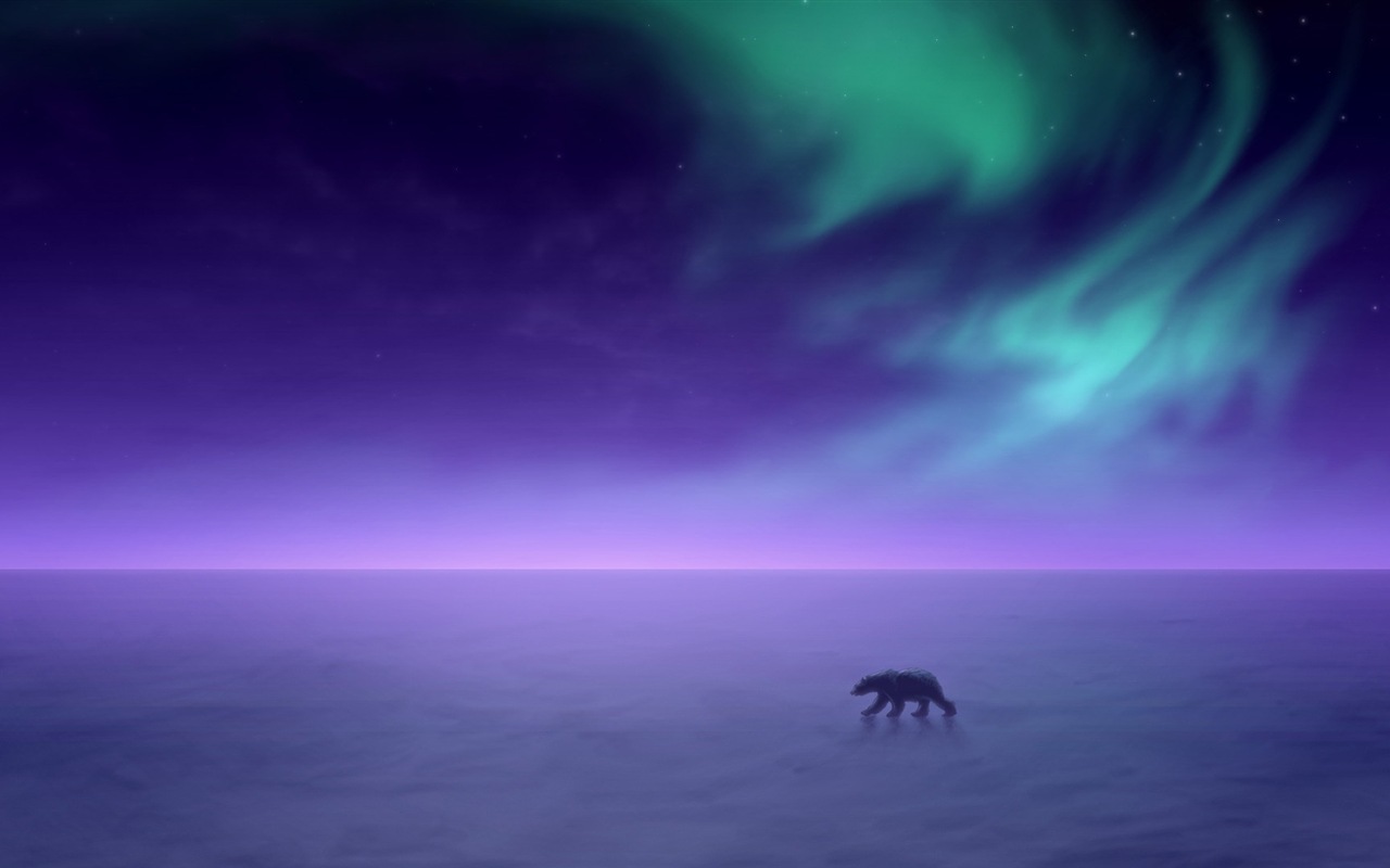 自然奇景，北极光高清壁纸(二)21 - 1280x800