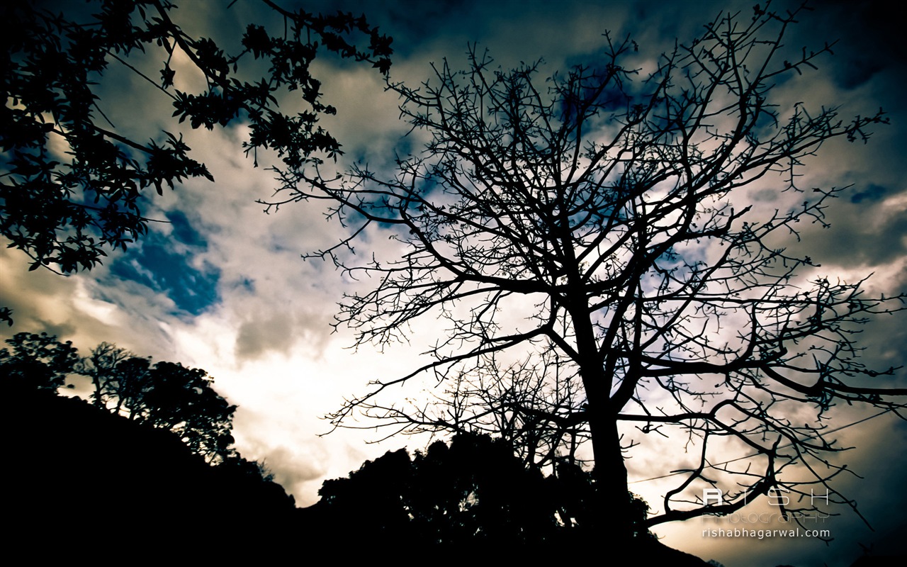 Windows 8 壁紙：捕捉瞬間的精彩 #10 - 1280x800