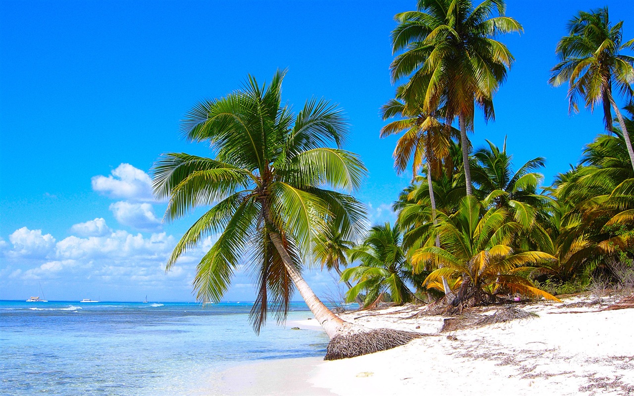 Windows 8 壁紙：加勒比海濱 #2 - 1280x800