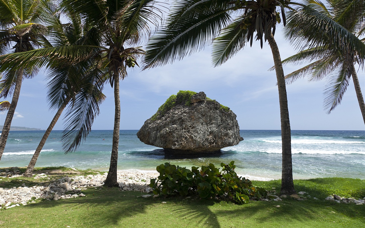 Windows 8: Fonds d'écran Shores Caraïbes #10 - 1280x800