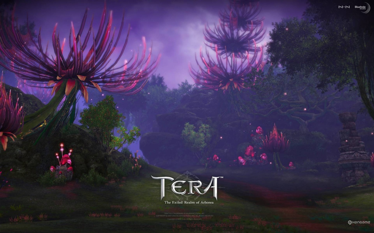 Tera 高清遊戲壁紙 #15 - 1280x800