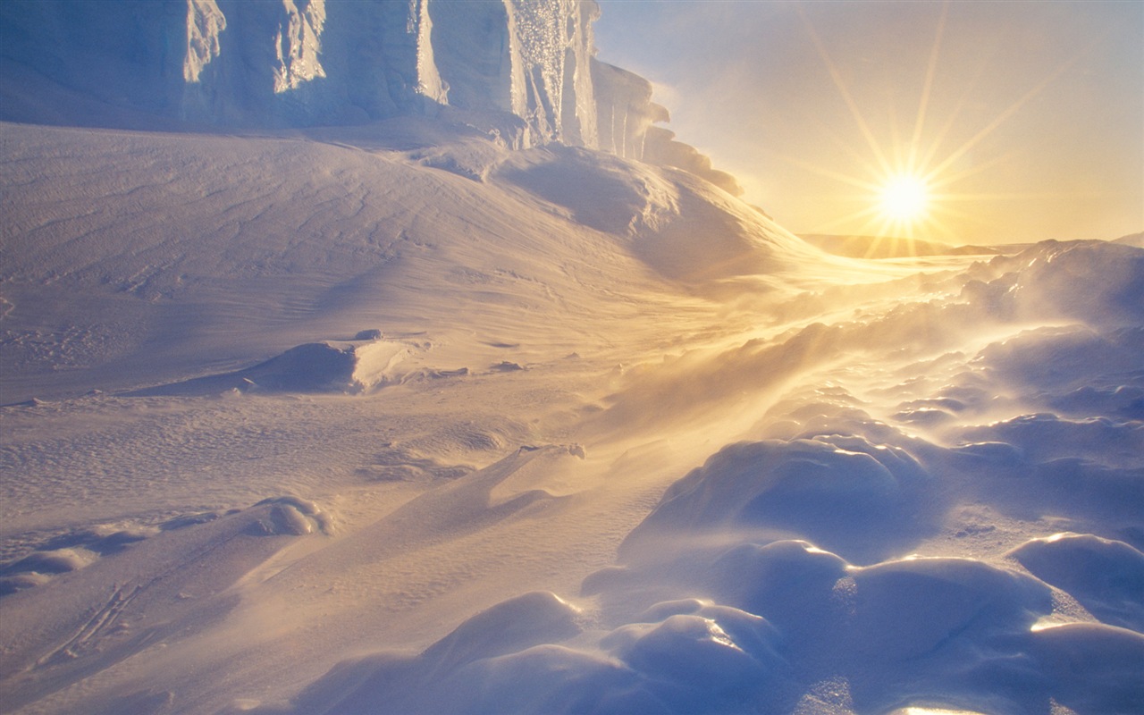 Windows 8 壁紙：南極洲，冰雪風景，南極企鵝 #9 - 1280x800