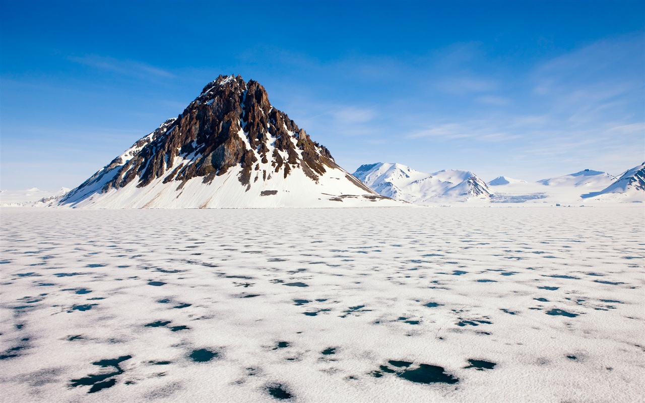 Windows 8 na plochu: Arctic, příroda ekologické krajiny, polární zvířata #1 - 1280x800