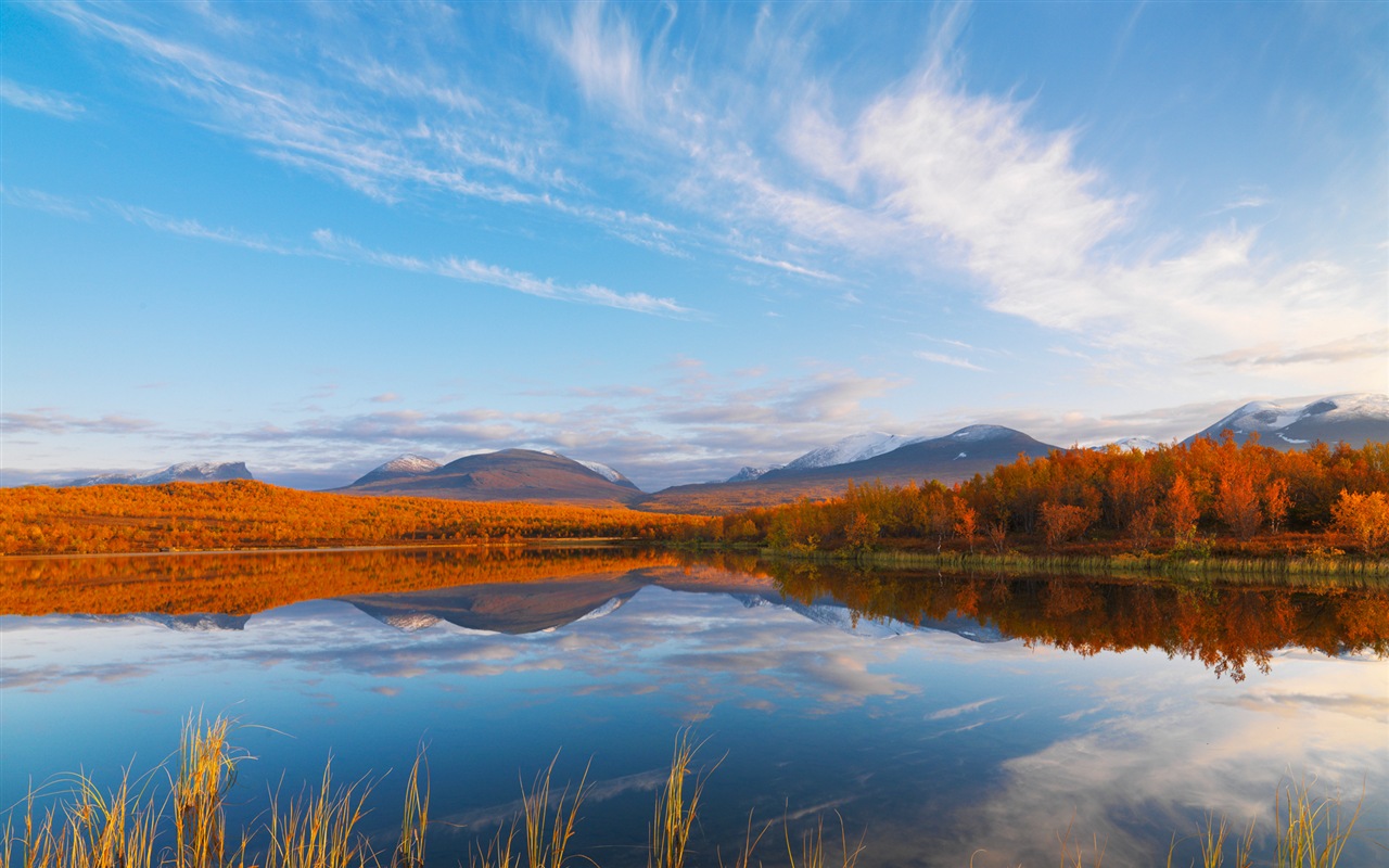 Windows 8 壁紙：北極圈，自然生態風景，北極動物 #5 - 1280x800