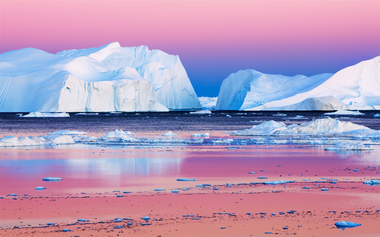 Windows 8 na plochu: Arctic, příroda ekologické krajiny, polární zvířata #7 - 1280x800
