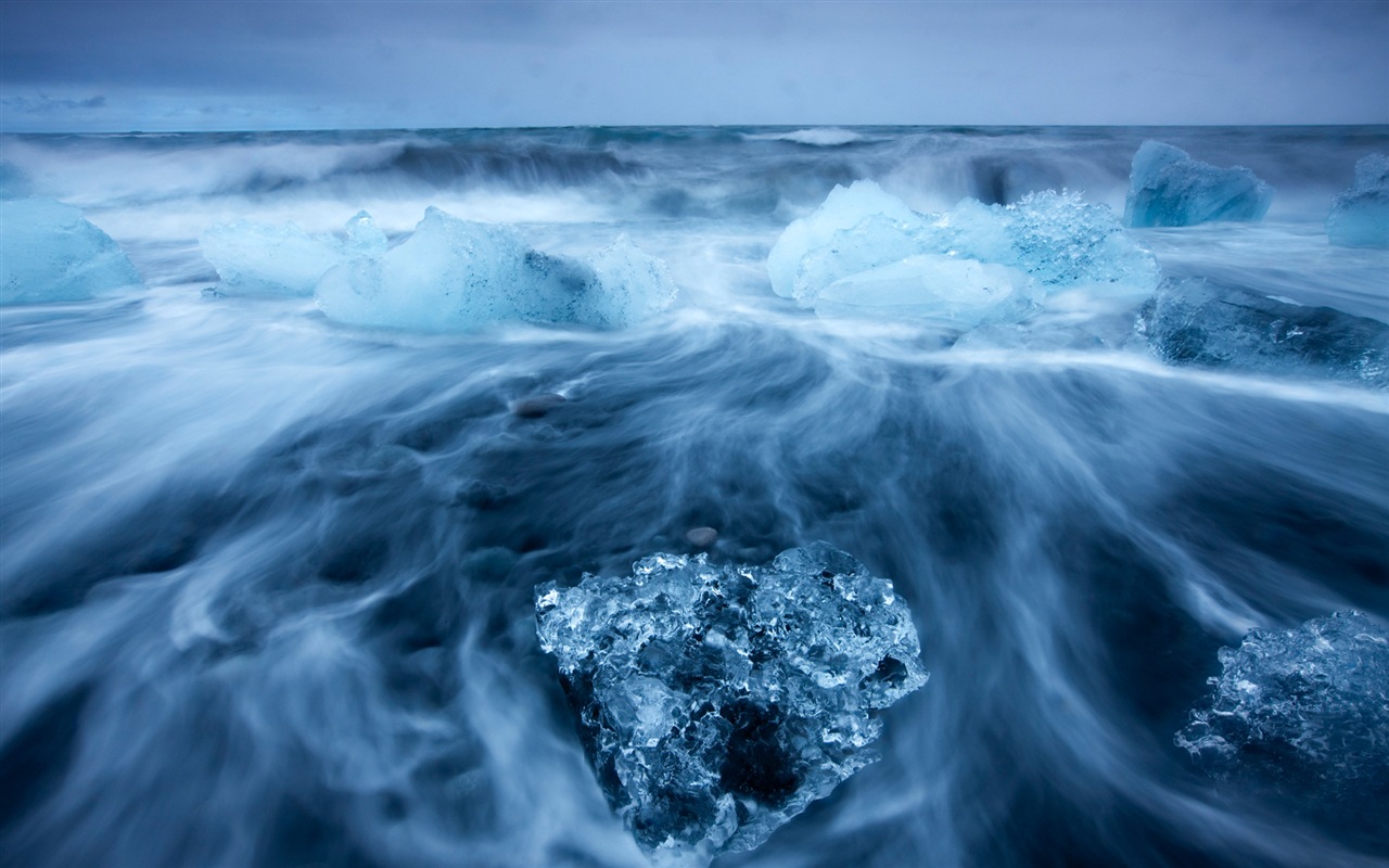 Windows 8 na plochu: Arctic, příroda ekologické krajiny, polární zvířata #9 - 1280x800