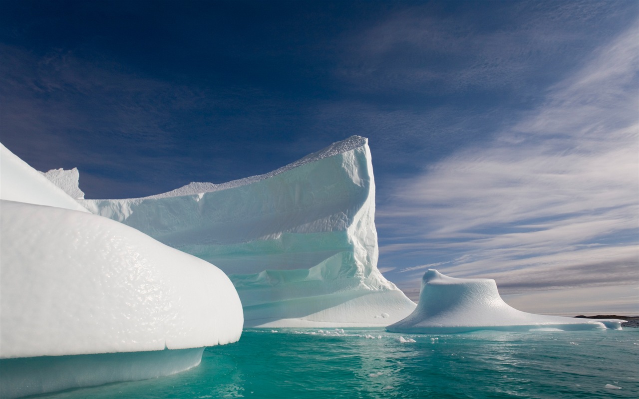 Windows 8 na plochu: Arctic, příroda ekologické krajiny, polární zvířata #14 - 1280x800