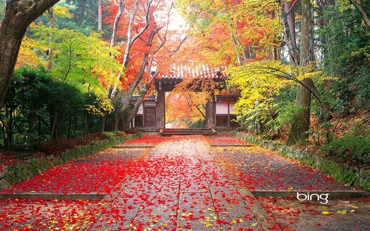 Microsoft Bing écran HD: Japonais papier peint thème du paysage #1 - 1280x800
