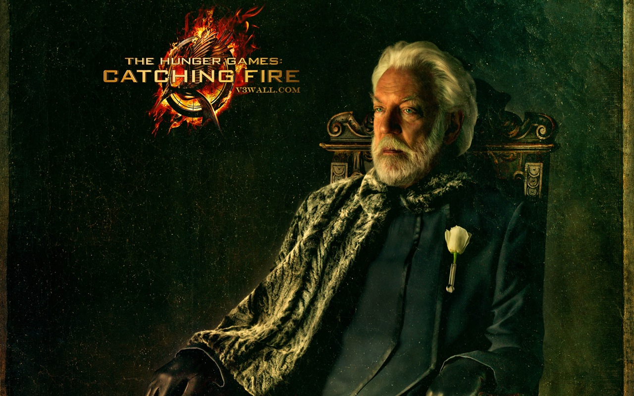 The Hunger Games: Catching Fire 飢餓遊戲2：星火燎原 高清壁紙 #3 - 1280x800