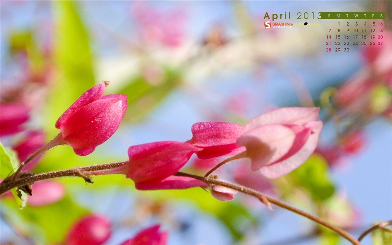 Avril 2013 Calendrier fond d'écran (1) #17 - 1280x800