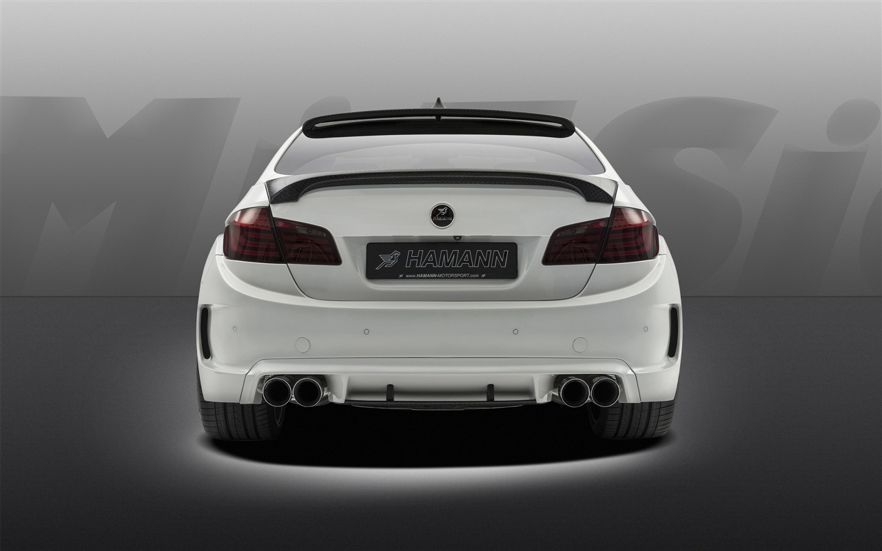2013 Hamann M5 Mi5sion 哈曼M5 Mi5sion豪華車高清壁紙 #18 - 1280x800