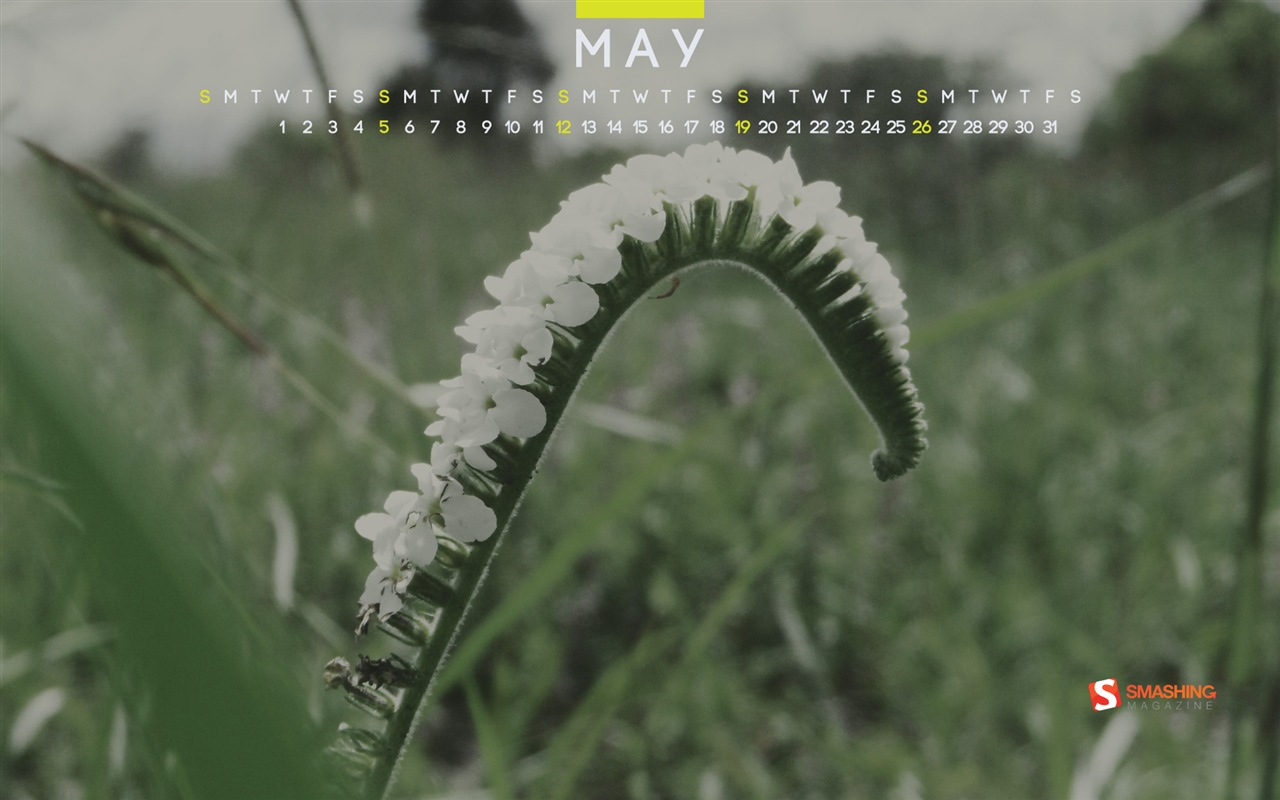 May 2013 calendar wallpaper (2) #13 - 1280x800