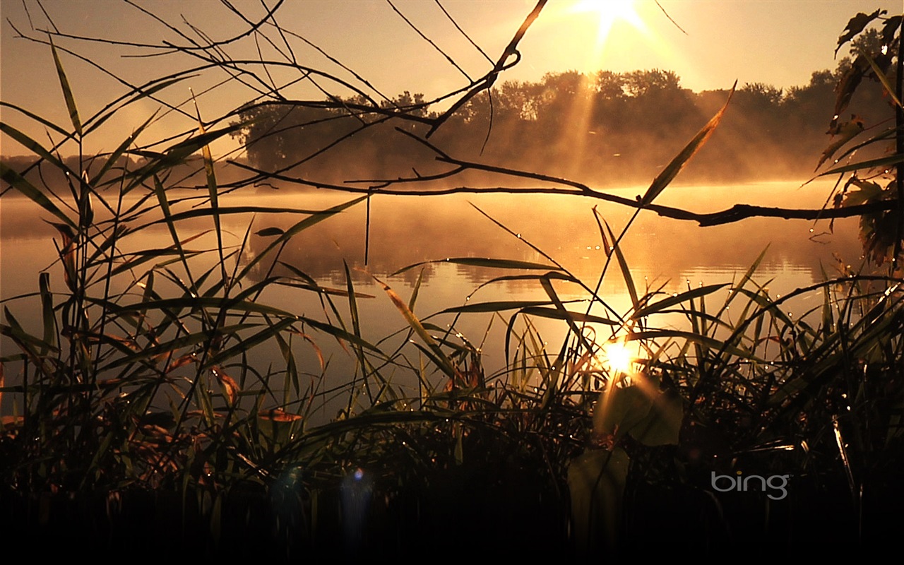 2013年 Bing 必應官方主題高清壁紙 #6 - 1280x800