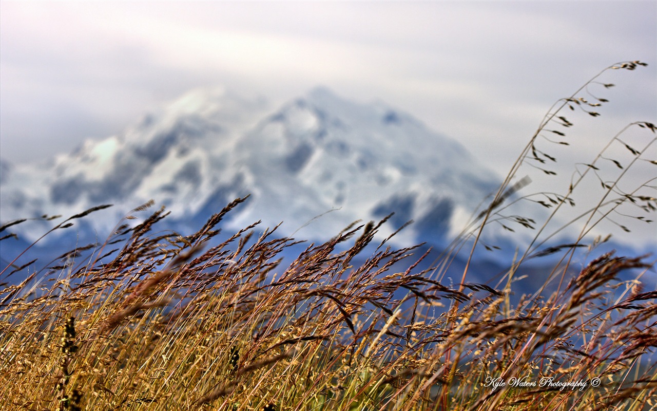 Windows 8 thème fond d'écran: Alaska paysage #15 - 1280x800