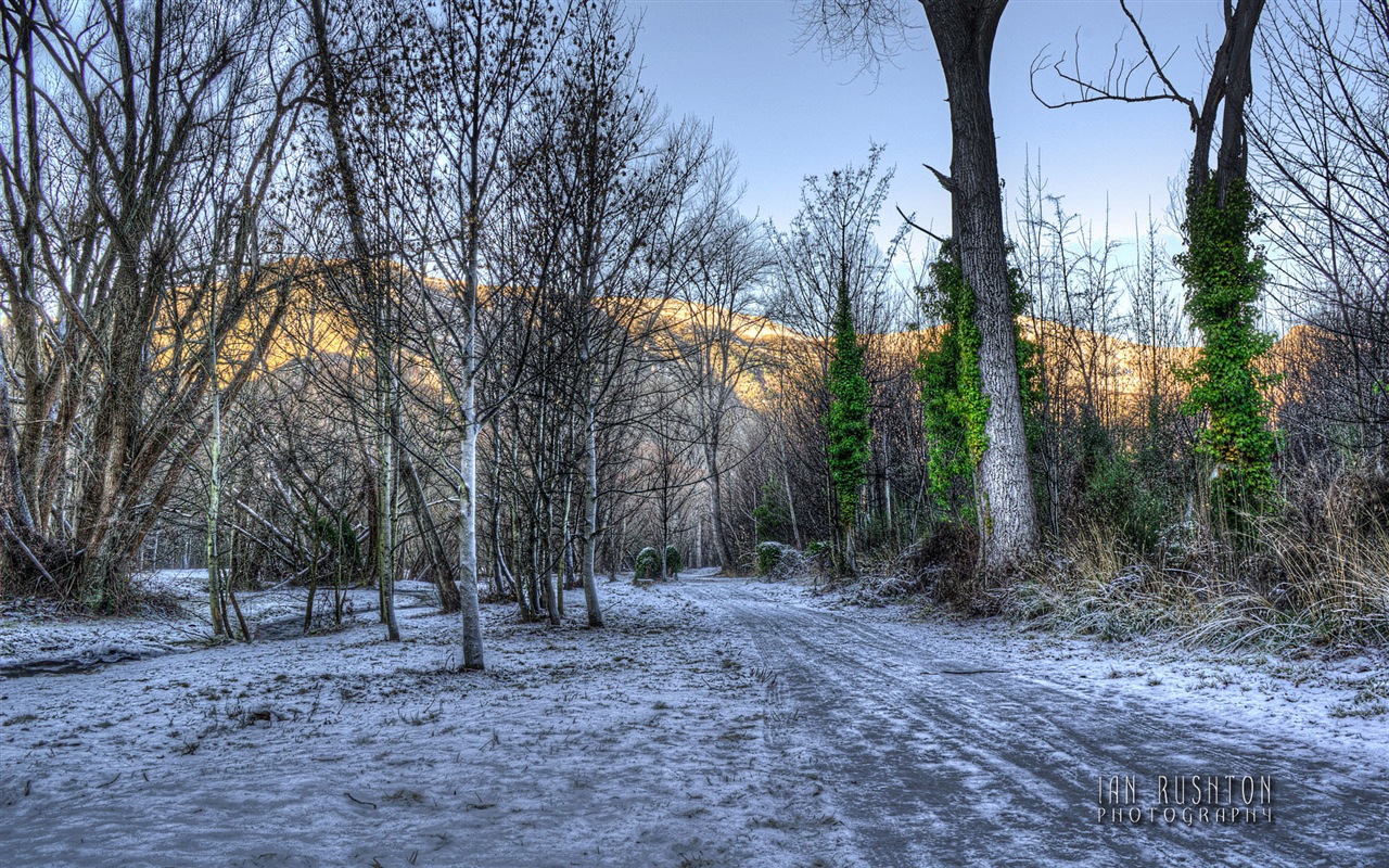 Windows 8 Theme Wallpaper: Queenstown, New Zealand #16 - 1280x800