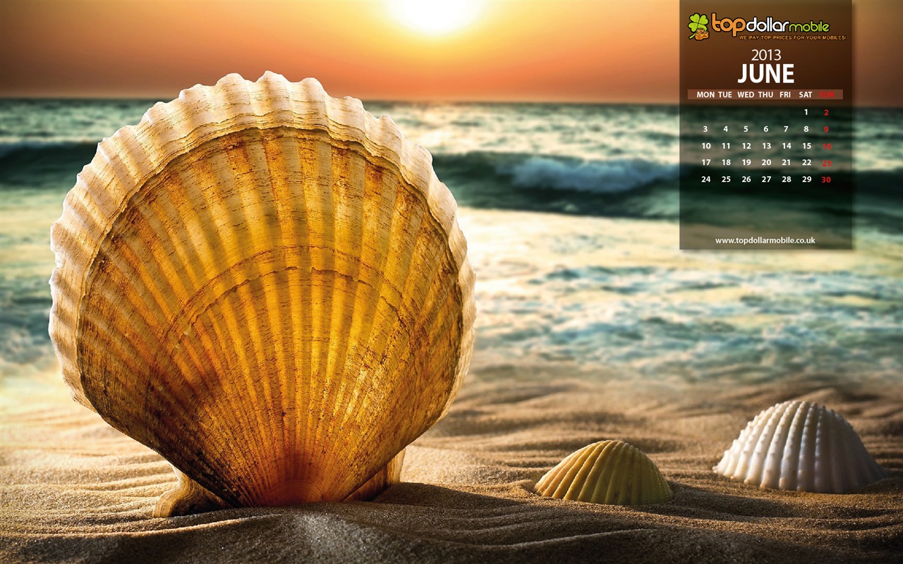 June 2013 calendar wallpaper (2) #19 - 1280x800
