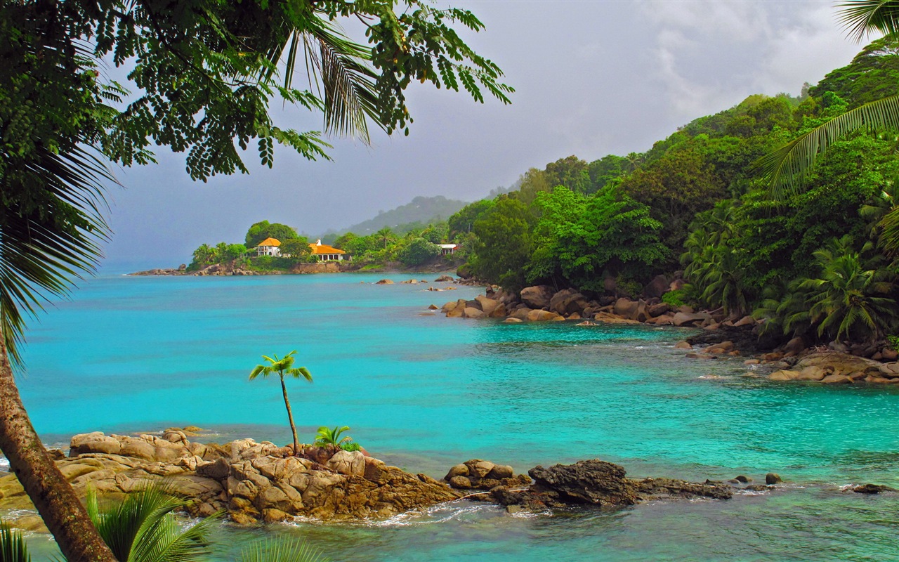 Seychellen-Insel, Natur, Landschaft HD Wallpaper #6 - 1280x800