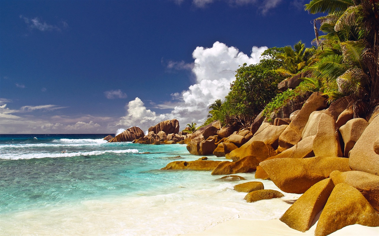 Seychellen-Insel, Natur, Landschaft HD Wallpaper #15 - 1280x800