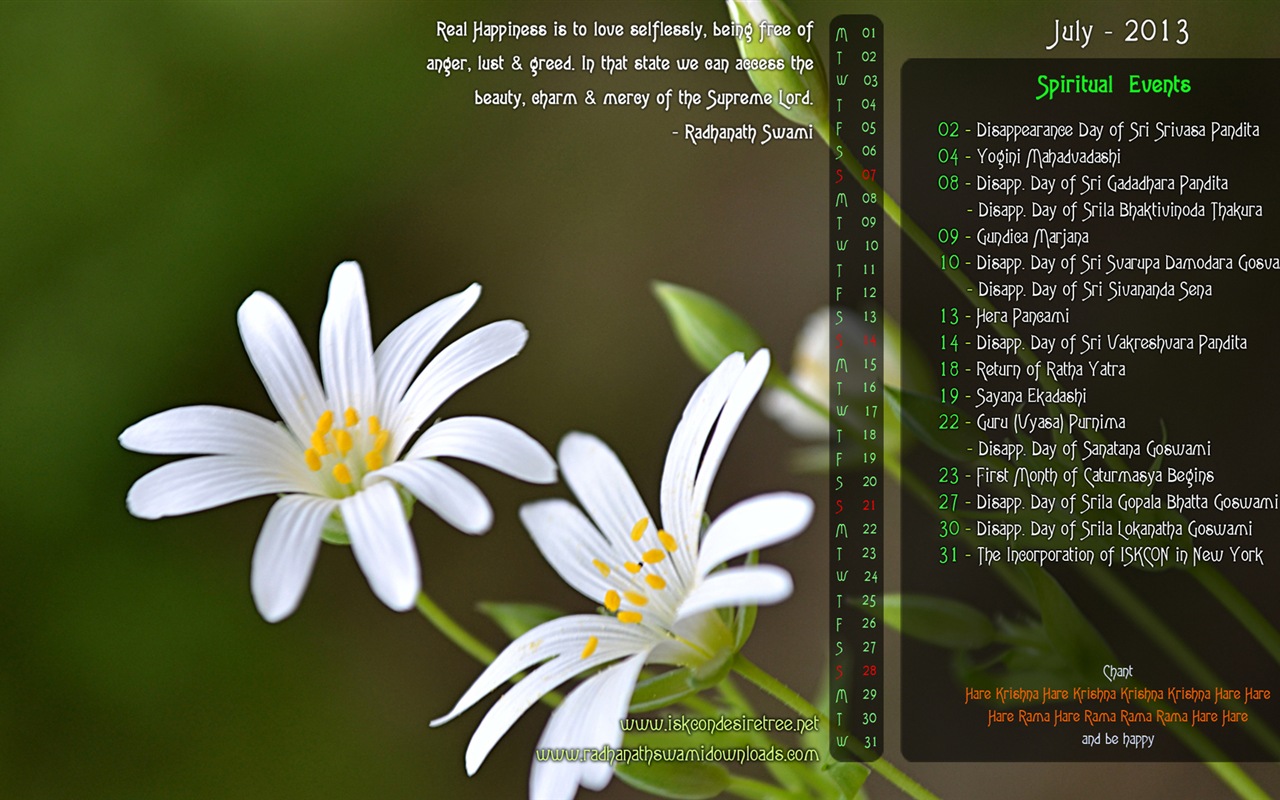 July 2013 calendar wallpaper (1) #9 - 1280x800