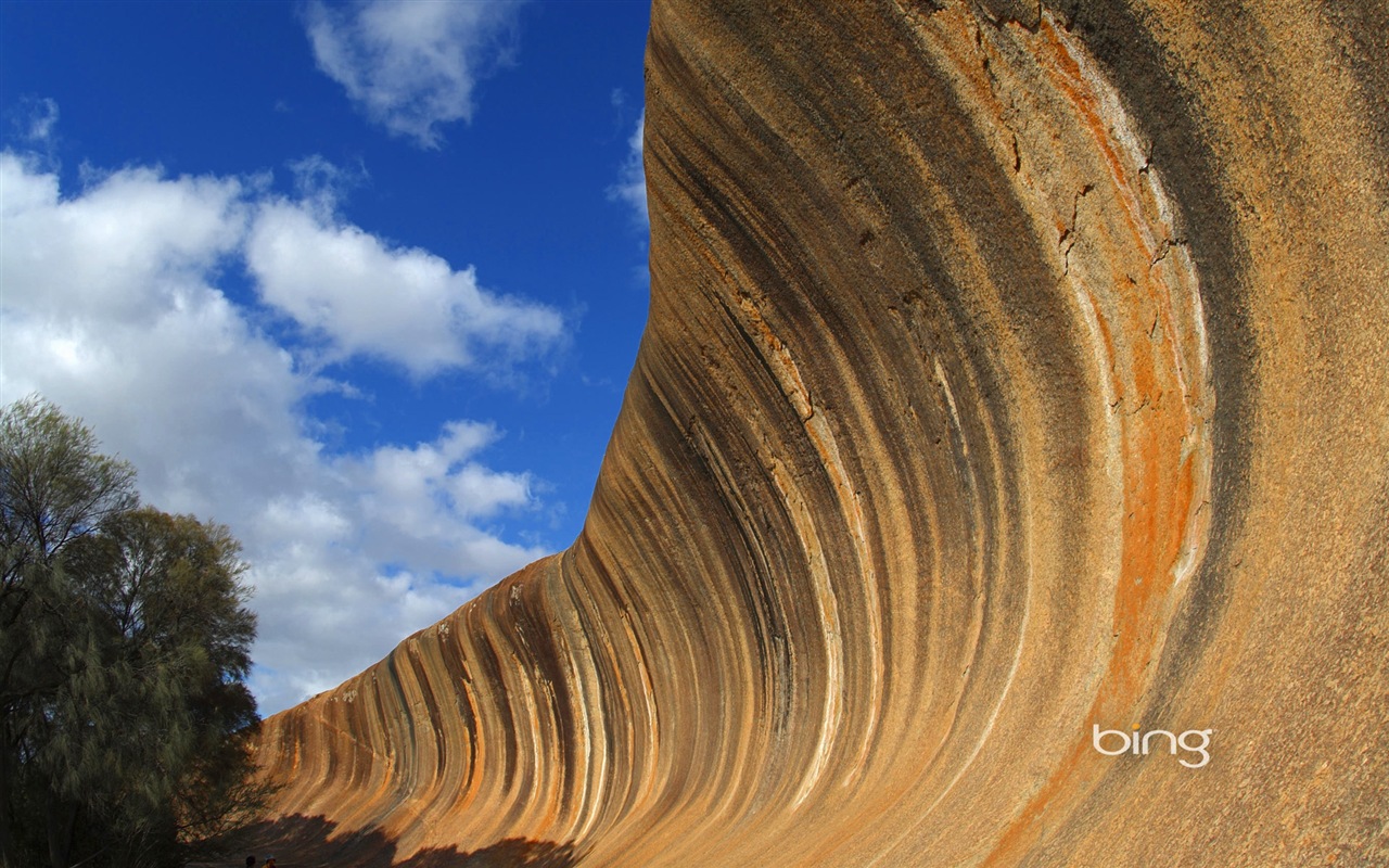 Bing Australie thème fonds d'écran HD, animaux, nature, bâtiments #3 - 1280x800