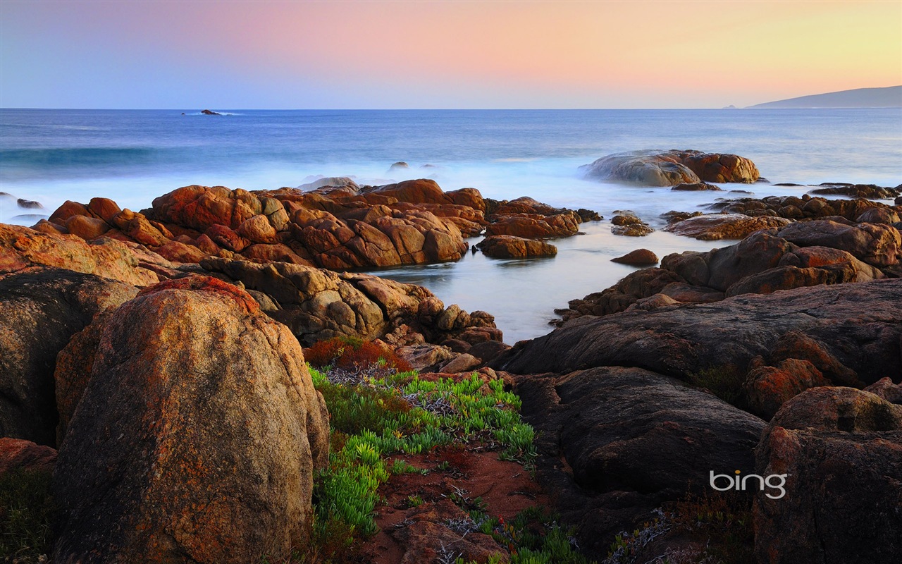 Microsoft Bing thème fonds d'écran HD, l'Australie, ville, paysage, animaux #7 - 1280x800