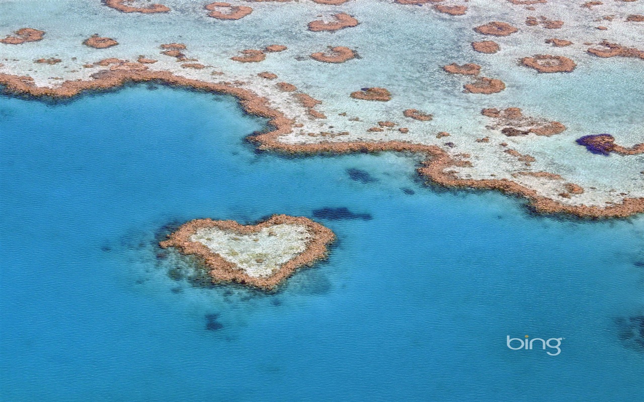 微软Bing 必应主题高清壁纸，澳大利亚，城市景观12 - 1280x800