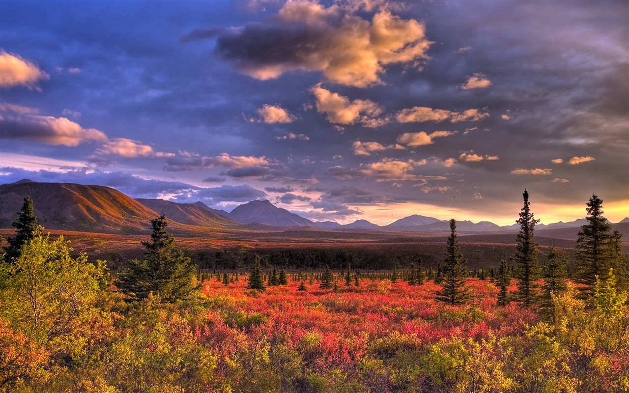Parque Nacional Denali HD fondos de pantalla paisaje #6 - 1280x800