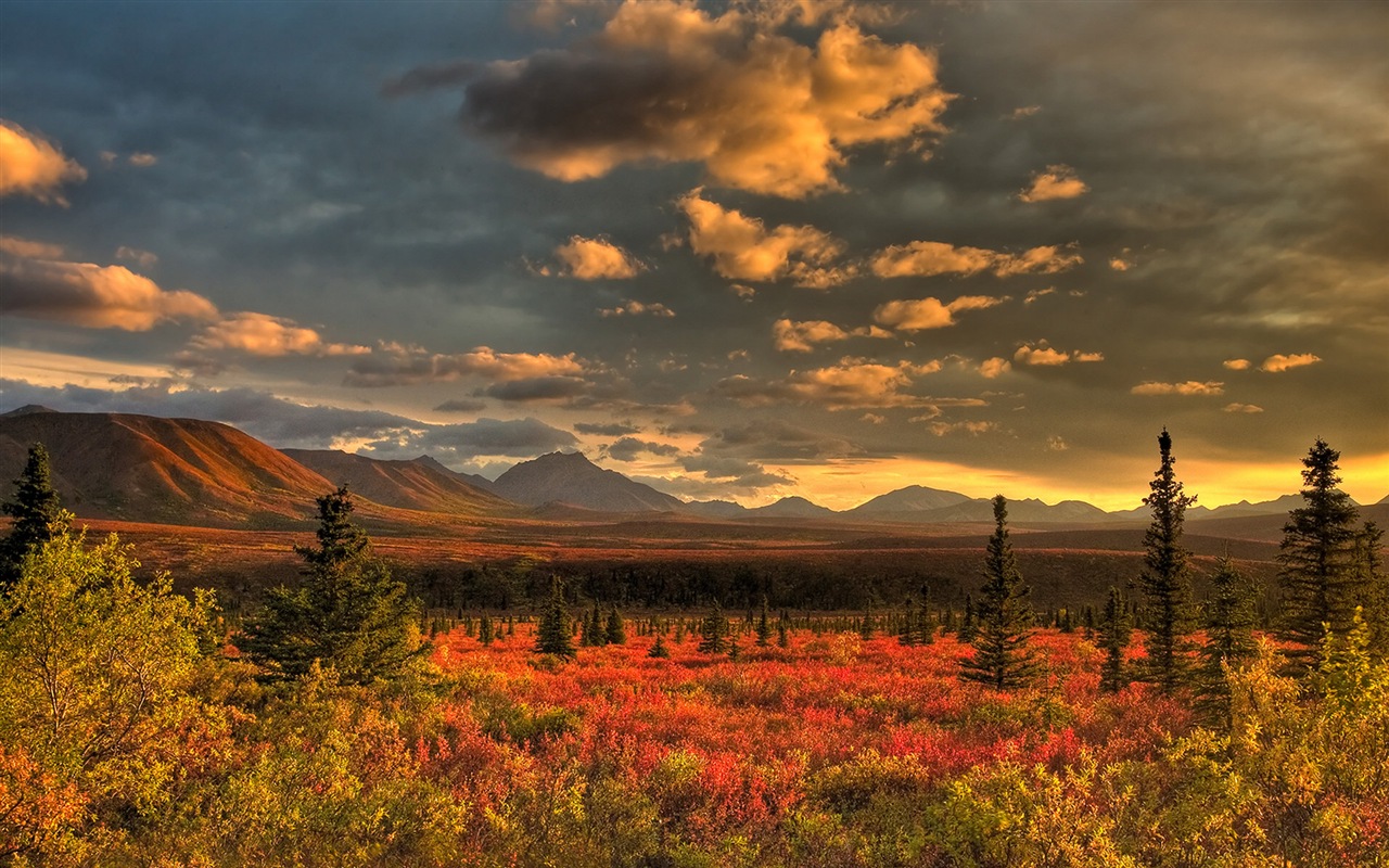 Denali National Park 迪納利國家公園 高清風景壁紙 #8 - 1280x800