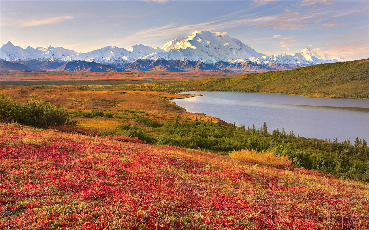 Denali National Park HD Tapety #10 - 1280x800