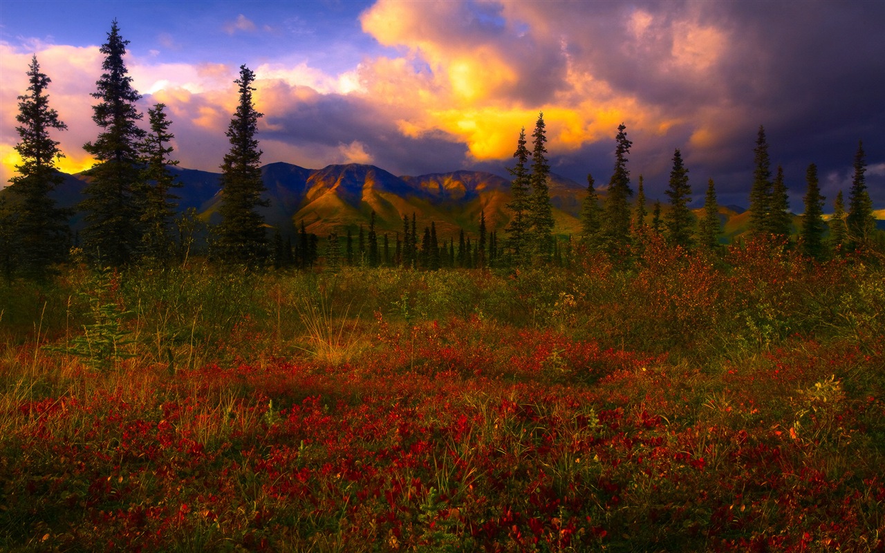 Parque Nacional Denali HD fondos de pantalla paisaje #12 - 1280x800