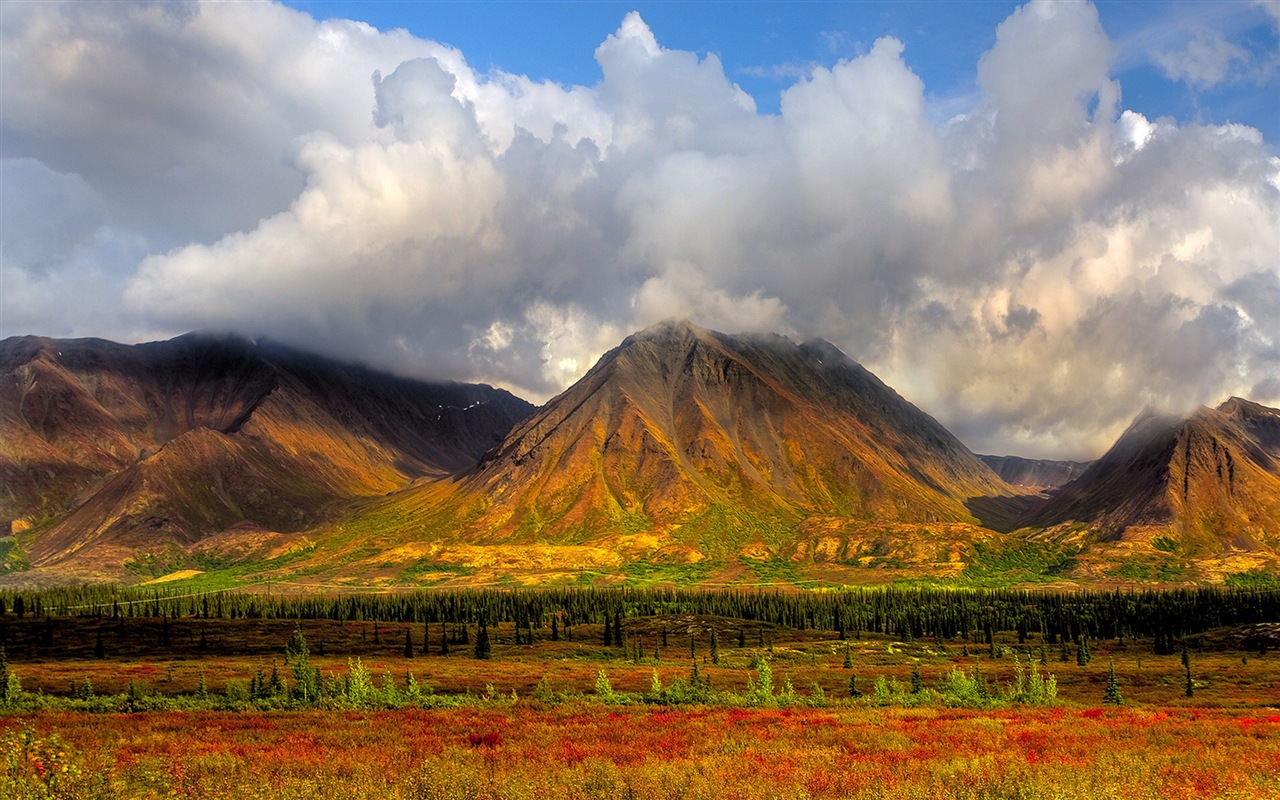 Denali National Park 迪納利國家公園 高清風景壁紙 #16 - 1280x800