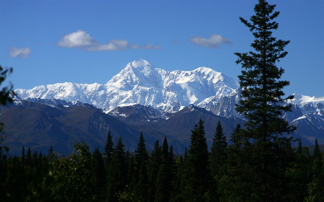 Denali National Park 迪納利國家公園 高清風景壁紙 #17 - 1280x800
