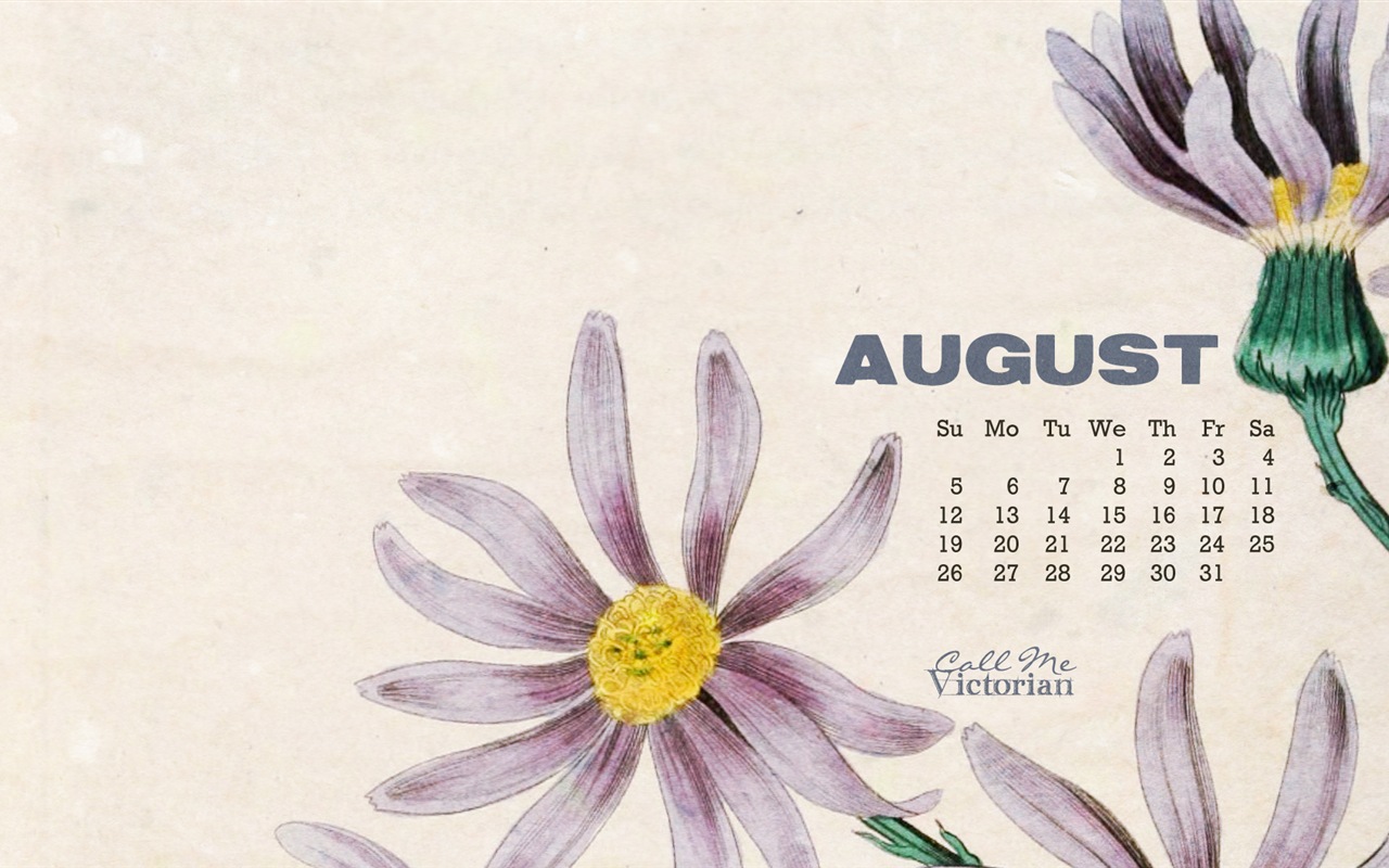August 2013 calendar wallpaper (1) #2 - 1280x800